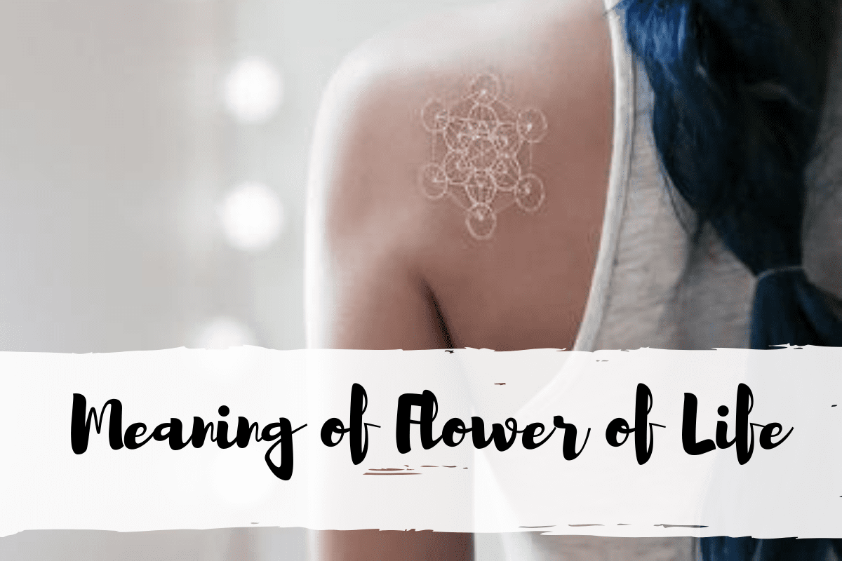 The Meaning Of Flower Life Explained